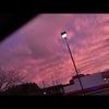 briannaweddi197